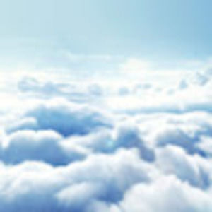 Meet your Posher, Teia